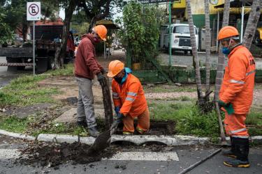 SERVIÇOS URBANOS