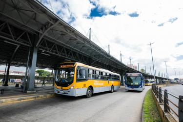 TRANSPORTE E CIRCULAÇÃO