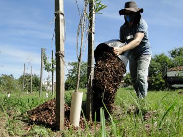 MEIO AMBIENTE URBANISMO E SUSTENTABILIDADE