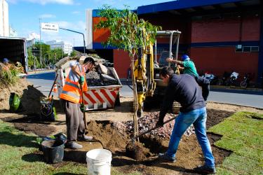 Meio Ambiente, Urbanismo e Sustentabilidade