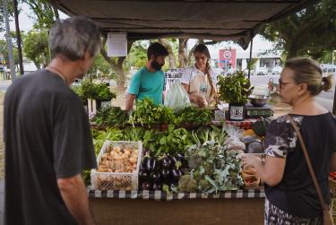 Governança Local e Coordenação Política  