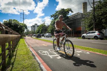 Transporte e Circulação 