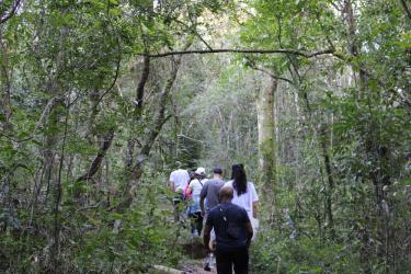  Meio Ambiente, Urbanismo e Sustentabilidade
