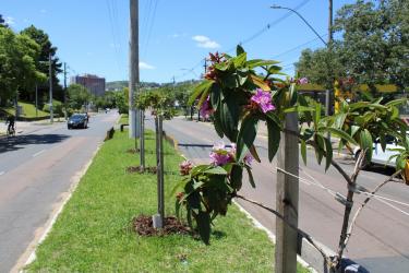  Meio Ambiente, Urbanismo e Sustentabilidade 