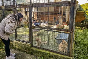 GABINETE DA CAUSA ANIMAL GABINETE DA CAUSA ANIMAL