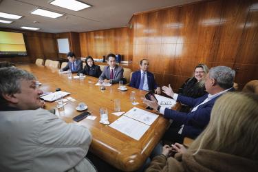 Executivo