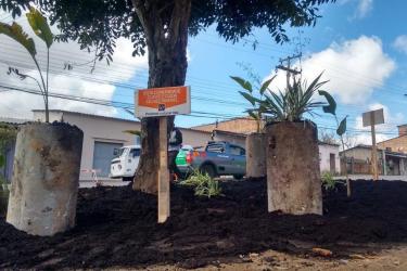 Plantio Urbano Sustentável é uma ação para inibir focos de lixo 