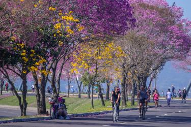 Porto Alegre terá tempo seco no fim de semana