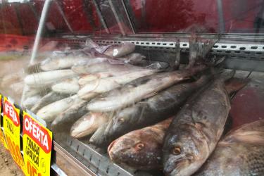 Feira do Peixe