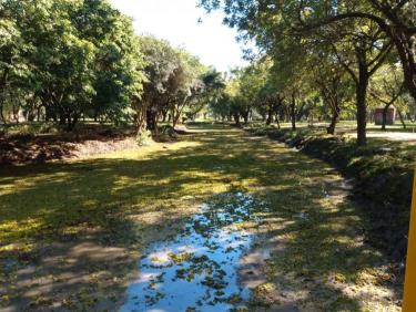 Parque Marinha do Brasil - Limpeza