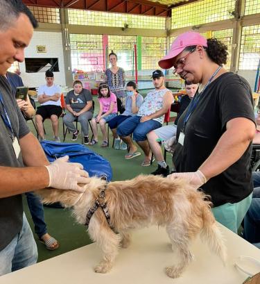 Gabinete da Causa Animal vacina cão mascote de escola municipal