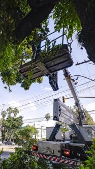 SERVIÇOS URBANOS