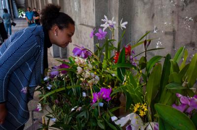 Food Trucks e exposição de flores atraem visitantes ao Viaduto Otávio Rocha