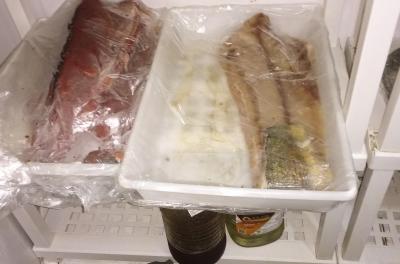 Um total de 32 quilos de arroz, kani kama, atum e peixe branco foi descartado