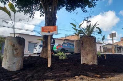 Serão plantados pequenos arbustos e flores 