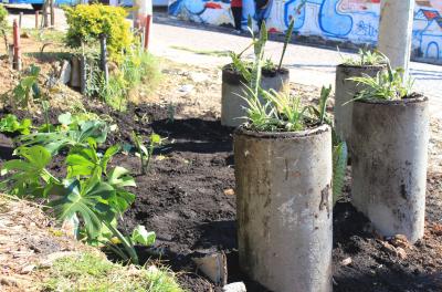 Na tarde desta quarta-feira, 12, a Coordenação de Gestão e Educação Ambiental (CGEA) do Departamento Municipal de Limpeza Urbana (DMLU) executou um Plantio Urbano Sustentável na rua Dona Maria, 74, Vila Gaúcha, bairro Santa Tereza