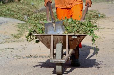 Serviço de roçada retira a vegetação do meio-fio e de outros locais