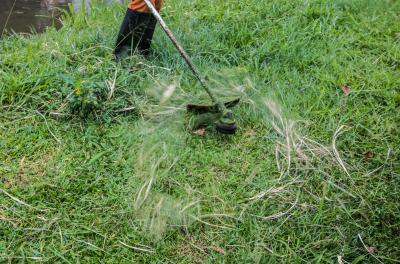 Locais receberão serviços de capina, corte de grama e limpeza