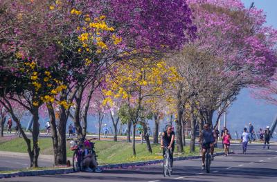 Porto Alegre terá tempo seco no fim de semana