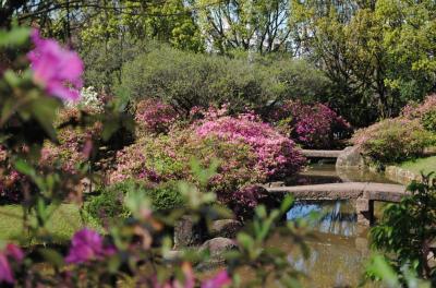 Praça ProvÃncia de Shiga completa 30 anos