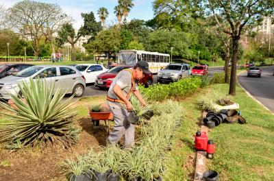 Prefeitura lança edital para adoção de espaços verdes da cidade