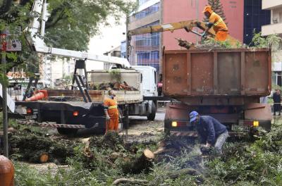 Seguem serviços de podas na Praça Dom Feliciano neste domingo