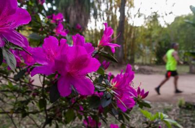 O sol predomina ao longo do dia, mas aparecem algumas nuvens