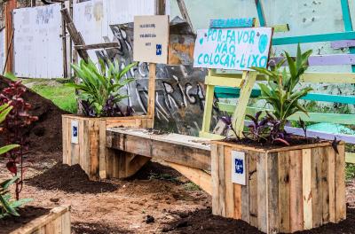 DMLU faz plantio sustentável na Vila Cruzeiro do Sul