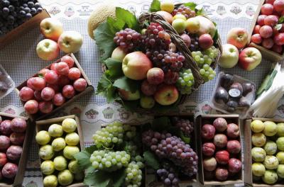 Festa da Uva e da Ameixa 