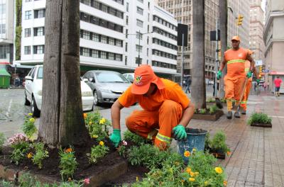 Serviços Urbanos planta flores nos arredores do Paço Municipal