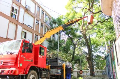 Rua do Centro Histórico recebe serviço de podas
