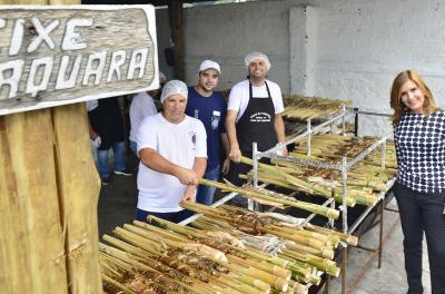 peixe na taquara