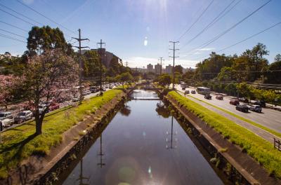 canteiro central da avenida Ipiranga
