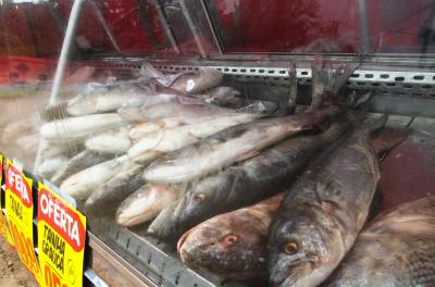 pescado
