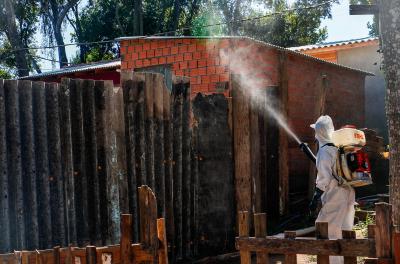 Capital já registra 406 casos de dengue