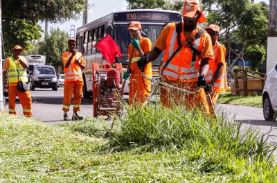 Prefeitura divulga programação de roçada e capina 