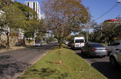 verdes complementares