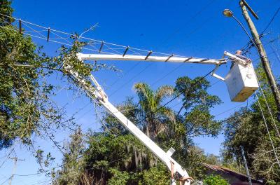 Smams instala novas pontes para travessia de animais no Lami