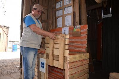 DMLU promove nova edição do projeto Erva-mate no Acampamento