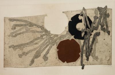 Pinacoteca Ruben Berta abre exposição Artistas Mulheres