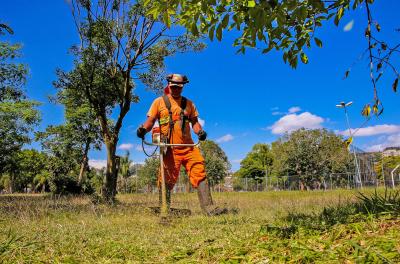 Prefeitura divulga programação de roçada e capina nesta segunda