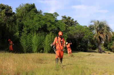 Prefeitura divulga programação de capina e roçada nesta sexta