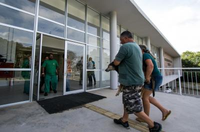 Inscrição para castração de animais será nesta quarta-feira