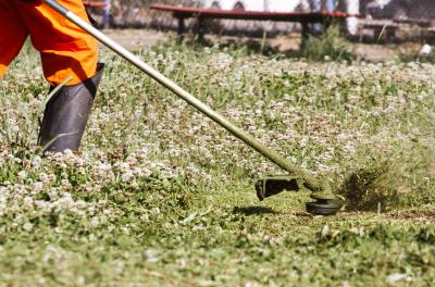 Prefeitura divulga programação de capina e roçada