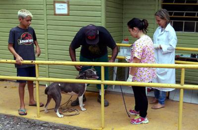 Smams já esterilizou 137 animais da Ilha Grande dos Marinheiros