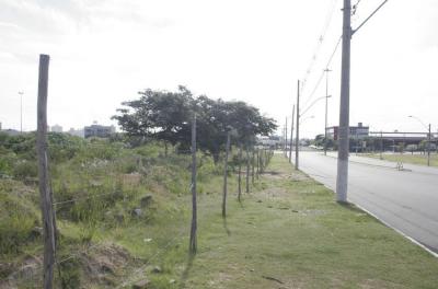 Terrenos