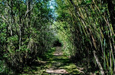 Parque Gabriel Knijnik está fechado devido a temporal
