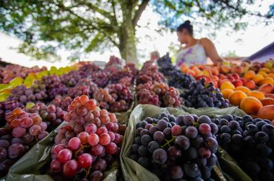 Festa da Uva e da Ameixa 