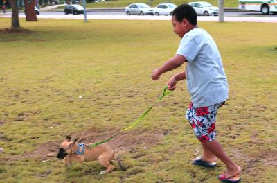 Fim de férias exige atenção extra aos bichos de estimação