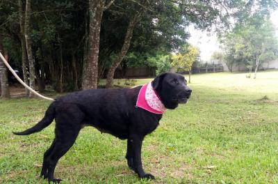 passeio